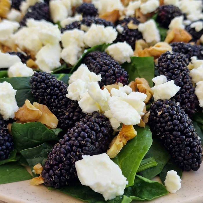 Mulberry Spinach Salad
